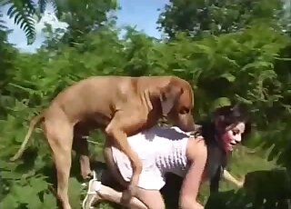 Amateur cougar loves having zoo intercourse with dog outdoors