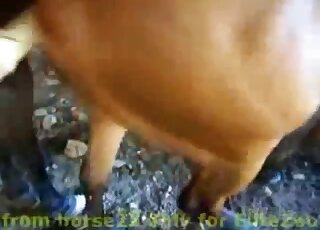 POV slippery wet horse pussy gets drilled with sex toy