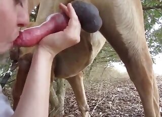 Amateur chick is licking and jerking off stiff dog boner outdoors