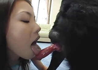 Beautiful Asian girls are tasting stiff dog dick in zoo threesome