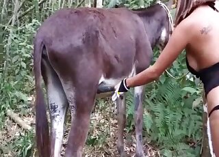 Donkey gets his long cock stroked and licked by masked vixen