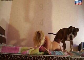 Curvy blonde MILF gets sexually dominated by randy Pit Bull