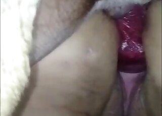 Amateur camera films fat dog cock stuck in slippery wet pussy