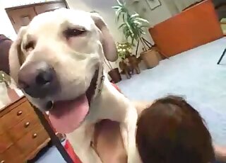 Young Oriental girl gets topped by two Labradors in heat