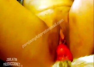 Amateur lady is filmed while riding sleeping dog like a cowgirl