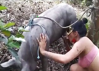 Latina cougar is filmed while sucking on long pig pole in forest