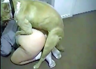 Indoors zoo porn session with a slender chick and her doggie