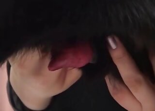 Awesome oral scene showing a bespectacled Asian fucking a dog hard