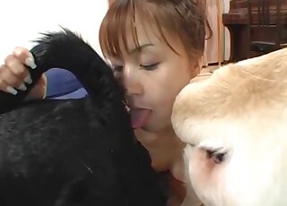 Curvy Asian babe prepping her pussy for a round of zoophilic fucking