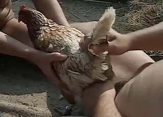 Outdoor bestiality scene with a chicken that fucks a married couple