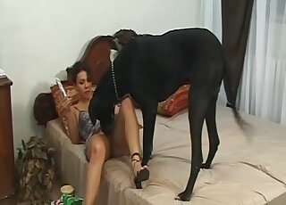 Sloppy pussy licking orgasm in zoophilia masturbation home scenes