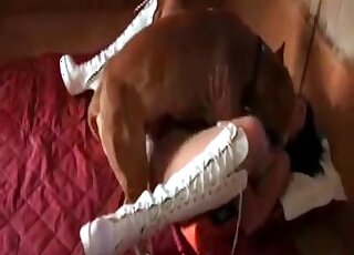 Aroused dog pleases horny zoophile slut with a hardcore pussy-fucking