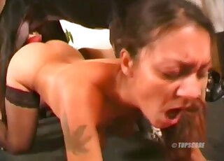 Horny mature moms involve dog into their dirty cam fuck play