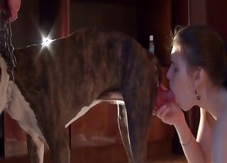 Sloppy dog blowjob until the woman tastes the fresh dog jizz