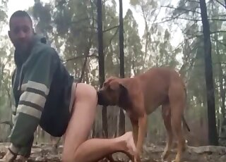 Gay male cam fucked by the dog in outdoor anal XXX perversions