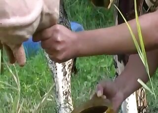 Succulent treat for a hot Latina in genuine cam zoophila