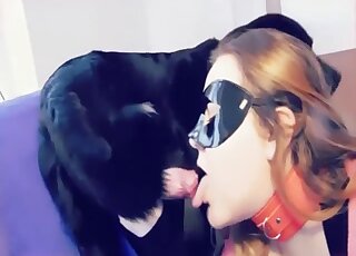 Busty blonde whore thrats dog's dick in very sloppy cam scenes