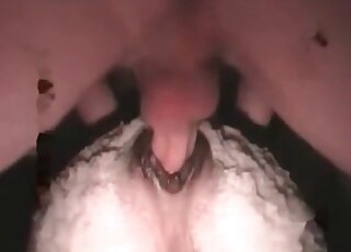 Kinky dude fucks a white sheep during arousing XXX sex scene