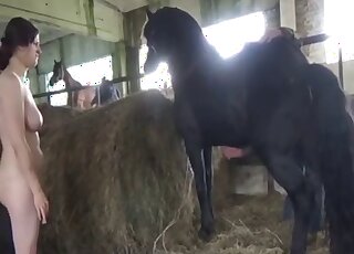 Ruthless horse porn leads busty amateur woman to screaming pleasures