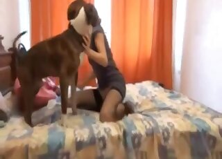 Thin babe leans on the bed with her dog for some nasty zoo rounds