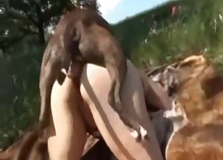 زوجة ذات مؤخرة كبيرة تحاول ممارسة الجنس الشرجي مع كلب في حديقة حيوان خارجية