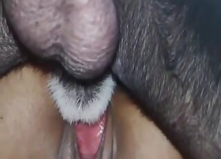 Dirty dog porn on cam with a blonde slut avid to swallow