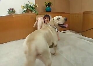 Sweet Japanese teen seduced in letting the dog hump her a teen