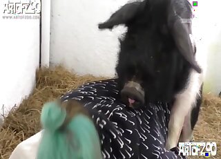 MILF feels entire pig's dick hammering her succulent cunt