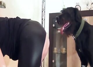 Amazing nude porn between a sexy wife and her trustful dog