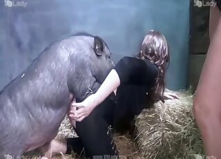 Aroused lesbians use male swine to fulfill their dirty sex needs