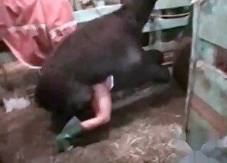 Dirty-minded zoophile cannot stop that passionate fucking session