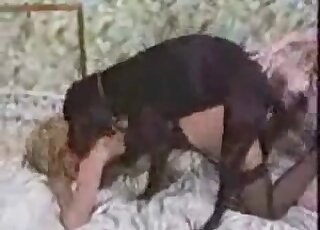Two zoophile sluts enjoy XXX fucking action with a black dog on the bed