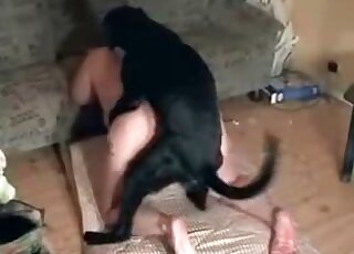 Chubby chick and black dog enjoy having wild zoo porn at home