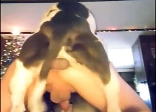 Attractive animal fucking a guy's asshole in a twisted porn movie