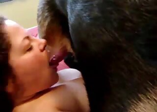 Awesome XXX scene showing a curly-haired zoophile that sucks dick
