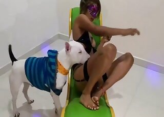 Tanned and seductive Latina getting fucked by a white dog on all fours