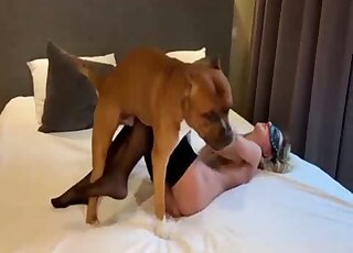 Black stockings zoophile makes that magic happen with a mutt