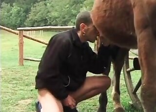 Stud loves sucking horse's thick shaft and can't wait to get cumshots