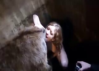 Zoophilic oral with a zoophile who's very gifted in terms of hot oral