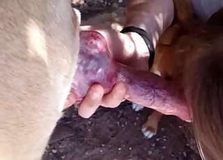 Nice handjob from a seasoned zoophile that loves real orgasms