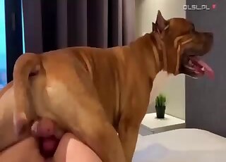 Lady in a black mask is happy to give his brown beast a handjob