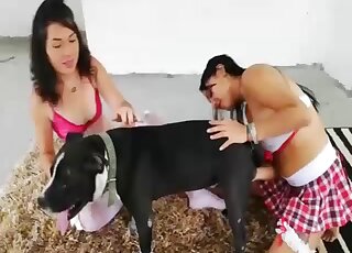 White stockings babe fucks a dog next to her good-looking friend