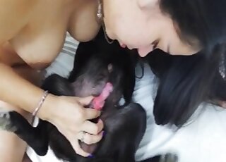 Brunette with a hot pussy is ready to blow a black beast right here