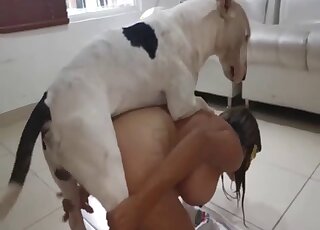 Yellow mask babe is ready to get fucked orally by a sexy animal