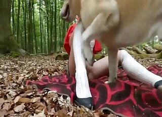 Red Riding Hood finds a big bad dog that's going to fuck her pussy