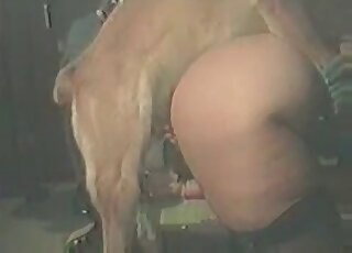 Zoophile couple gets involved in hot fucking wih a dog during zoo porn