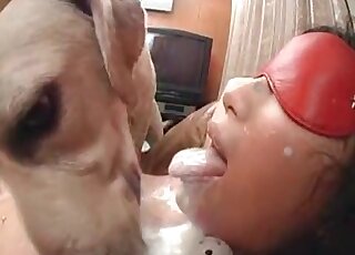 Two dogs gladly lick pussy of a busty brunette who's tied up to the bed