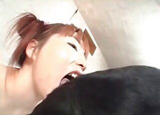 Japanese slutty chick gladly licks the pussy of her black dog at home