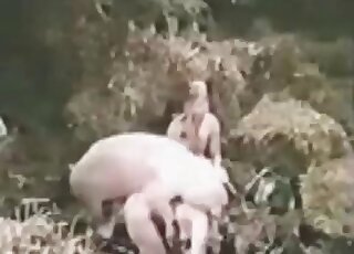 Compilation of retro zoo porn movies featuring extremely naughty sluts