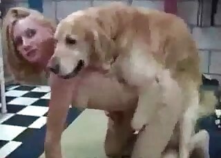 Hardcore pussy-banging zoo porn with a big dog and horny bitch